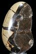 Septarian Dragon Egg Geode - Black Crystals #54570-1